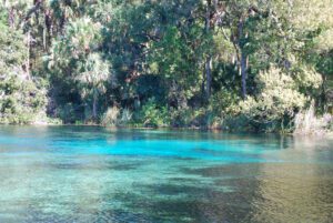 florida springs